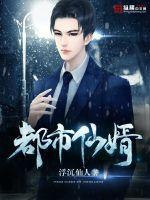 都市仙婿姜风柳晨妃