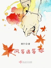 等风等雨我等你原唱完整版