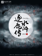 水浒逐鹿传小说