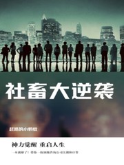 社畜逆袭:从小米开始反卷互联挨踢的老臣