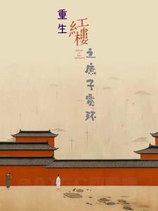 穿越红楼之庶子贾琮小说